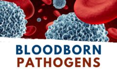 What is the procedure for handling blood and body fluid exposure?
