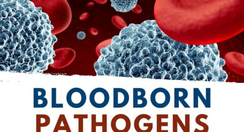 What is the procedure for handling blood and body fluid exposure?