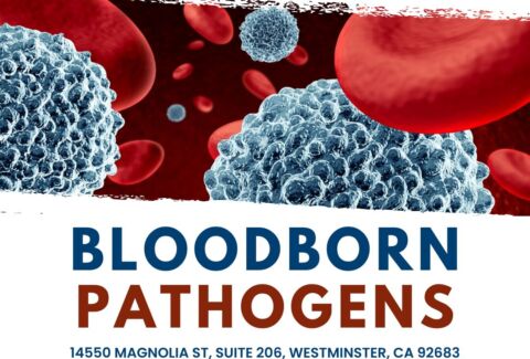What is the procedure for handling blood and body fluid exposure?