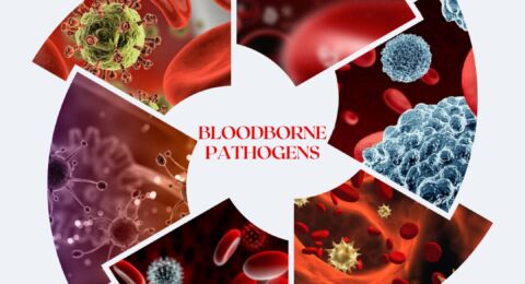 Who is at high risk of exposure to Bloodborne Pathogens?