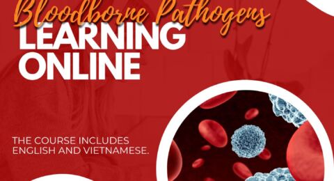 🩸 Understanding Bloodborne Pathogens – Do you know how to protect yourself?