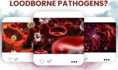 Do You Know Enough About Bloodborne Pathogens?