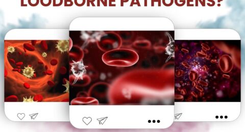 Do You Know Enough About Bloodborne Pathogens?