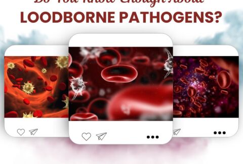 Do You Know Enough About Bloodborne Pathogens?