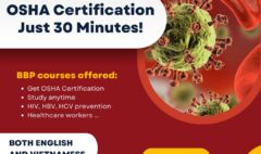 🎯 OSHA Certification - Just 30 Minutes! 🎯