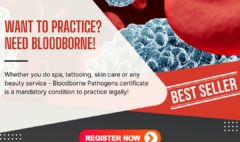 Want to Practice? Need Bloodborne!