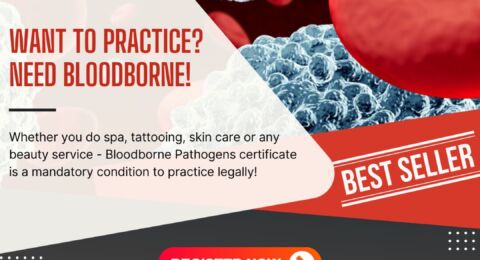 Want to Practice? Need Bloodborne!