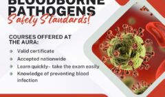 Bloodborne Pathogens – Safety Standards!