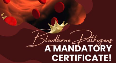 Bloodborne Pathogens – A Mandatory Certificate!