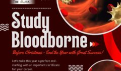 Study Bloodborne Before Christmas - End the Year with Great Success!