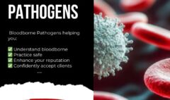 American-Standard Spa for Tet (Lunar New Year) – Bloodborne Pathogens