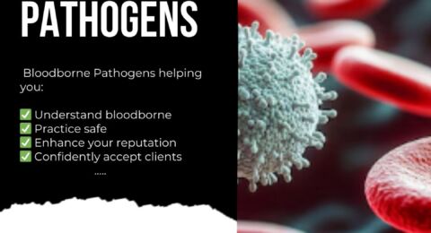 American-Standard Spa for Tet (Lunar New Year) – Bloodborne Pathogens