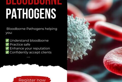 American-Standard Spa for Tet (Lunar New Year) – Bloodborne Pathogens