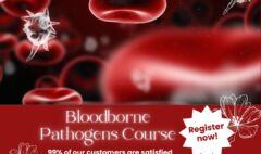 Bloodborne – The Minimum Standard for the Needle Profession