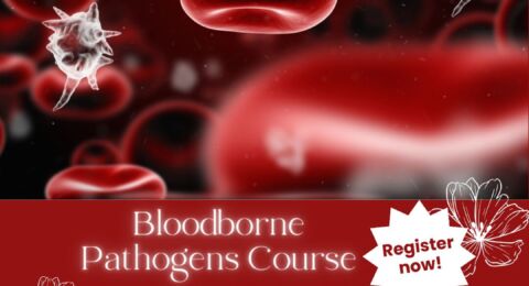 Bloodborne – The Minimum Standard for the Needle Profession