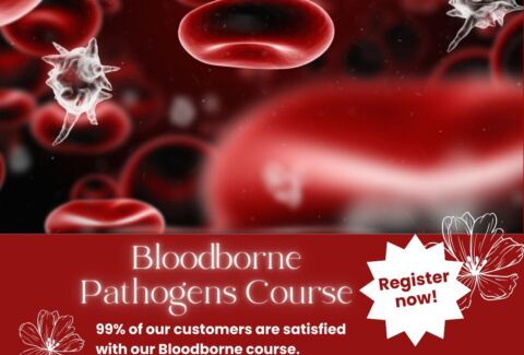 Bloodborne – The Minimum Standard for the Needle Profession