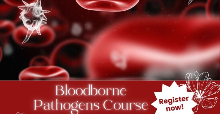 Bloodborne – The Minimum Standard for the Needle Profession