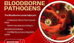Bloodborne – What You Must Learn Before Holding a Needle