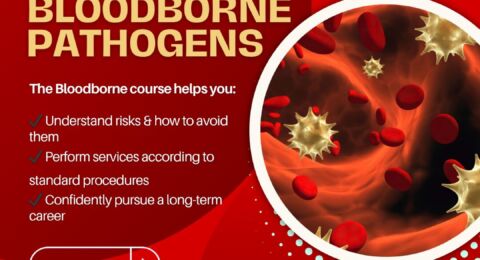 Bloodborne – What You Must Learn Before Holding a Needle