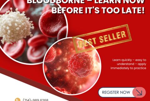 Bloodborne – Learn Now Before It's Too Late!
