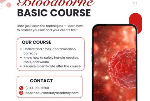 Bloodborne Basic Course for New Artists