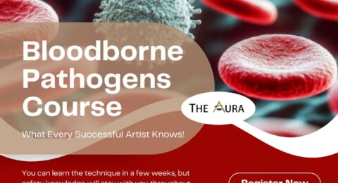 Bloodborne: What Every Successful Artist Knows!