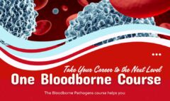 One Bloodborne Course – Take Your Career to the Next Level!