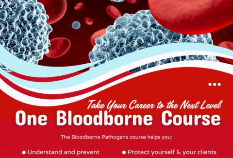 One Bloodborne Course – Take Your Career to the Next Level!