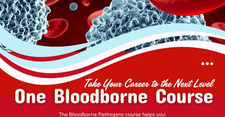 One Bloodborne Course – Take Your Career to the Next Level!